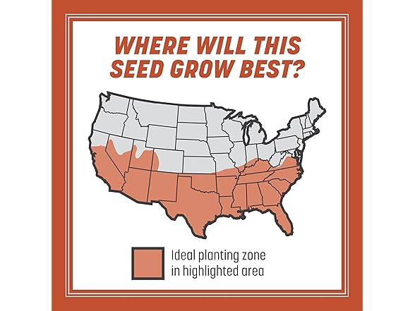 Pennington Bermudagrass Grass Seed 5 lb