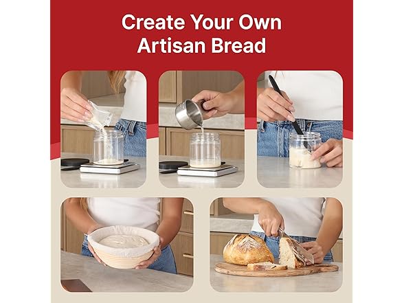 Apron Maven Premium Sourdough Starter - San Francisco