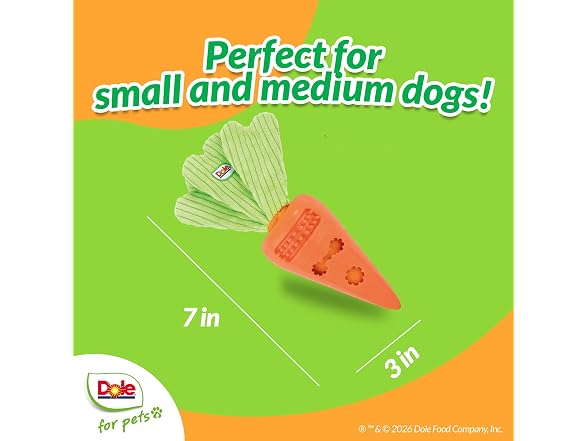 Dole for Pets Dole for Pets Dog Puzzle Toy with