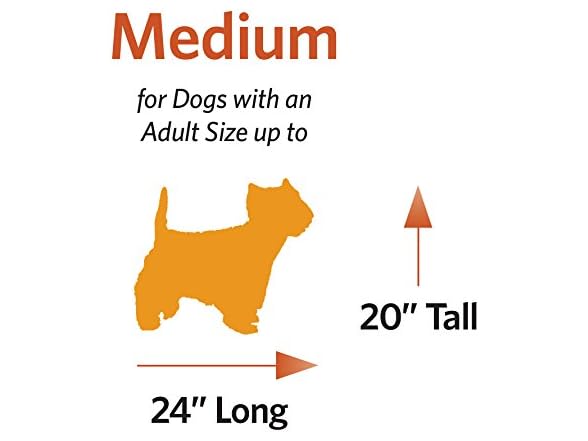 MidWest Homes for Pets Medium Dog Crate