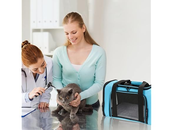 Helcb Pnimaund Pet Carrier Airline Soft Cat Carriers