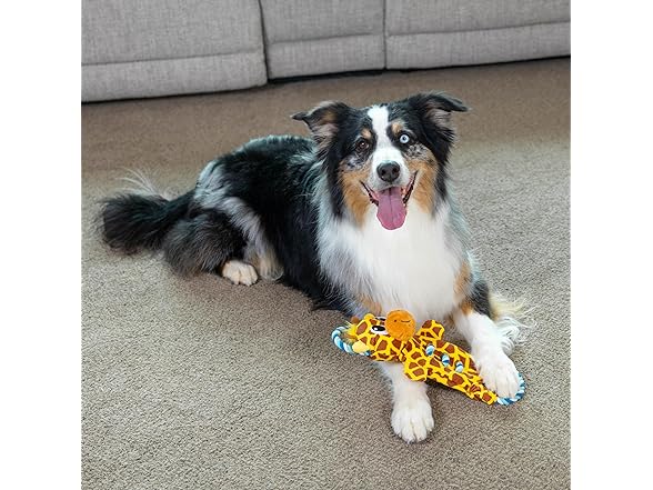 Outward Hound Ropiez Rope Interactive Dog Tug