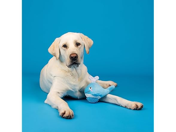 Fringe Studio Plush Dog Toy, Feeling Wha