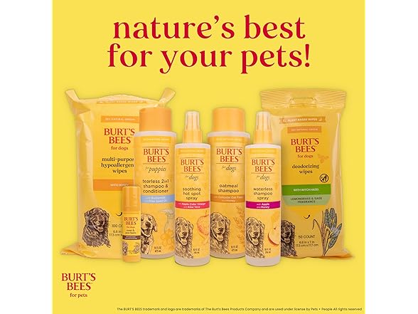 Burt's Bees for Pets Palm Brush
