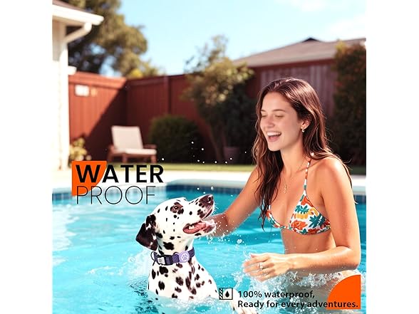 ILFINDYOU Dog Collar with Airtag Holder