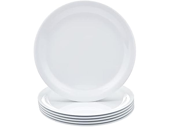 6PC Amazon Basics Melamine (Plastic) Plate, 9 in.