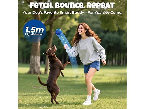 Fsitego Dog Balls: Interactive Dog Ball Auto Rolling