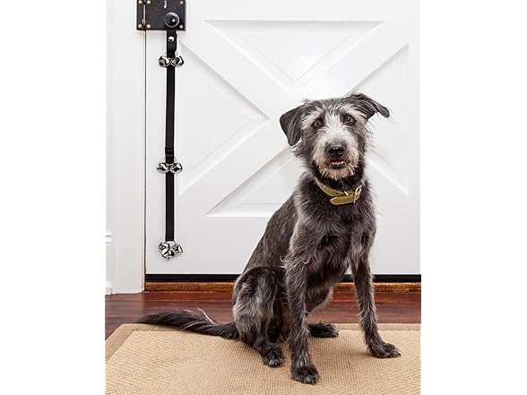 Friends Forever Housetraining Dog Doorbell