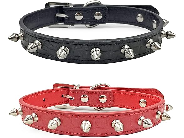 Enjoying Spiky Dog Collar, Spiked Dog Collar