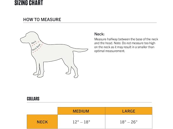Carhartt Field Nylon Dog Collar Marine Blue Medium