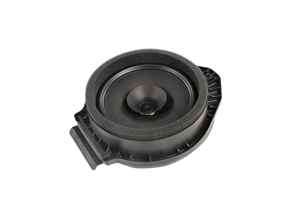 Rear Side Door Speaker