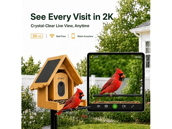 Bamboo Smart Bird Feeder W/ Camera