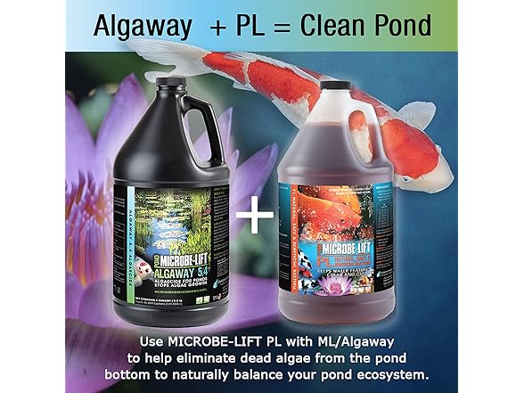 MICROBE-LIFT Algaway 5.4 Treatment