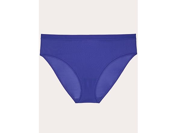 Curvy (3X) Blue Mesh Brief