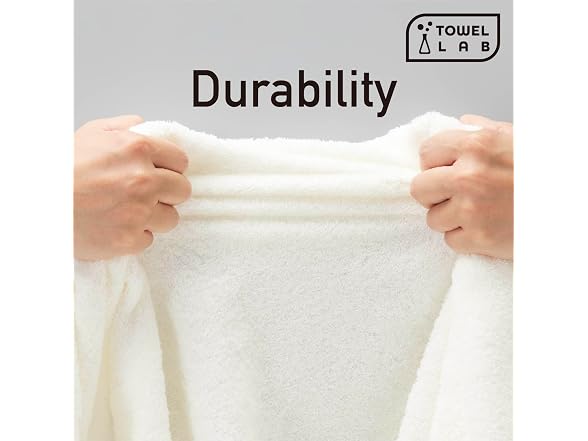 Towel Laboratory Bath Towels Set of 4 [Japan Technology]