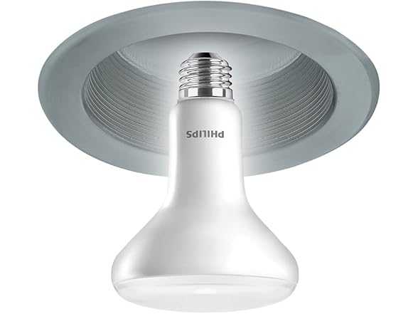 Philips Frosted Dimmable BR30 Bulb, 3Pack