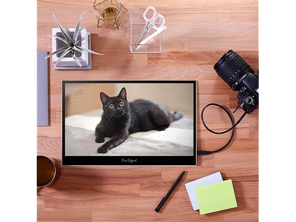 acer PM161Q Bbmiuux 15.6" Full HD 1920 x 1080 IPS Business Slim Portable Monitor | AMD FreeSync | External Monitor for Laptop PC Mac I Two 1W Speakers | 2 - USB 3.1 Type-C Ports & 1 - Mini HDMI (Open Box)