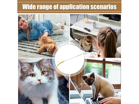 (2 Pack) Cat Wand Toy