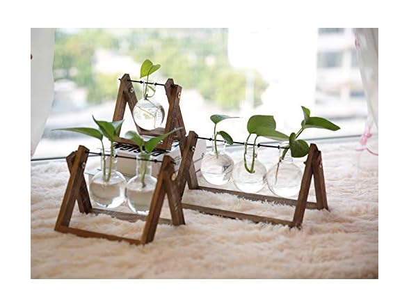 Water Planting Glass Vase w/Wood Stand