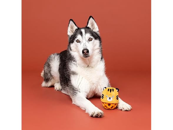 Fringe Studio Rubber Dog Toy, GO GET EM Tiger