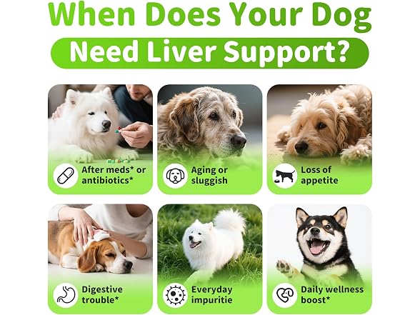 Dog Liver Support Chews