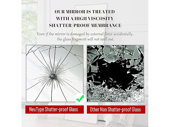 NeuType 59"x20" Full Length Silver Mirror