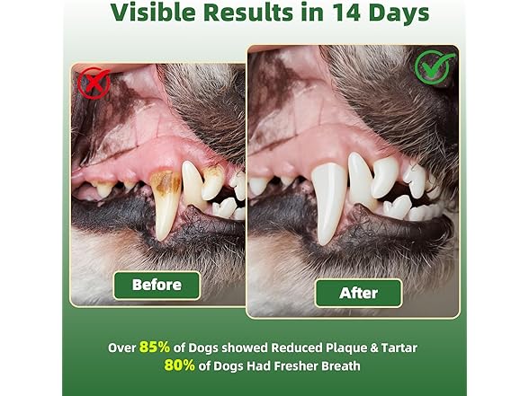 YacBass 2Pk Dog Dental Powder