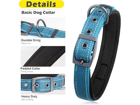 Sturdy Dog Collar for Small Medium Large Dog