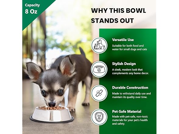 ICONIC PET 8 oz, 1 Cup SS Non Skid Pet Bowl