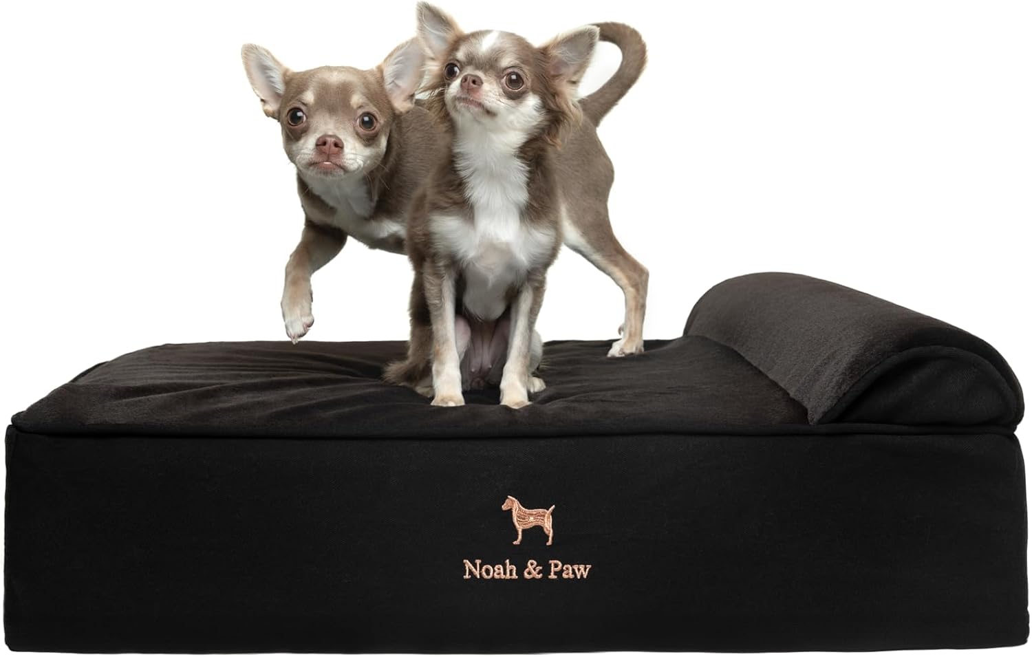NOAH & PAW Orthopedic Dog Beds- Medium - Gallery 12