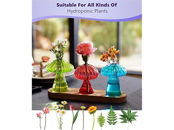 3 Pack Mushroom Glass Propagation Vases