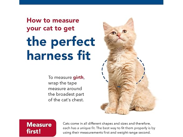 Coastal Pet Size Right Snag-Proof Adjustable