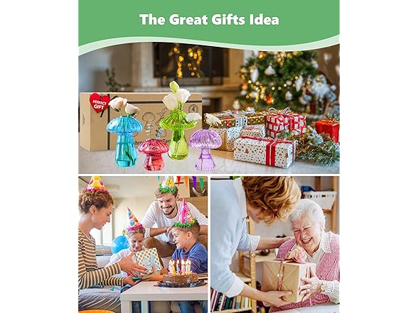 4 Pack Mushroom Glass Plant Terrarium