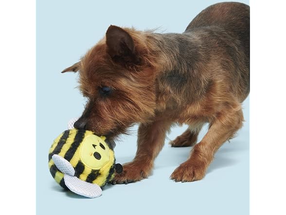 BarkBox Buzzy Body Dog Toy | Rip & Reveal Rubber Bee