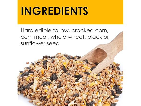 Woodpecker All Season No Mess Suet Cake Birders Pack