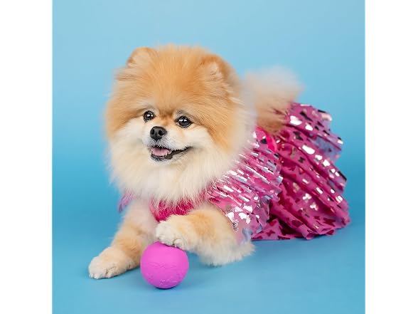 Doggy Parton Ruffle Sweater Skirt Set for Dogs - X-Small