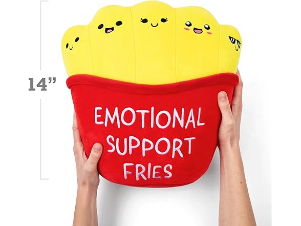 Emotional Support Mochi Fries
