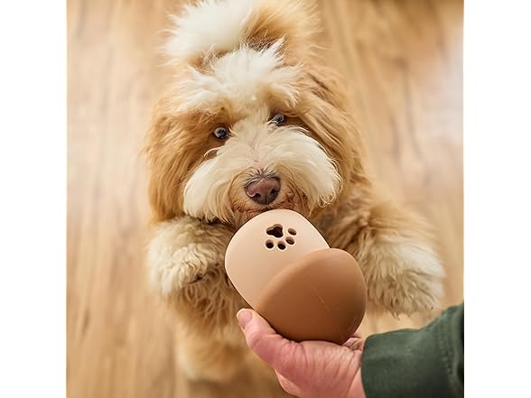 SPOT Treat Tumbler Mushroom – Freezable & Fillable