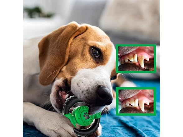 CSDKFCG Squeaky Dog Toys,Steering Wheel Shape