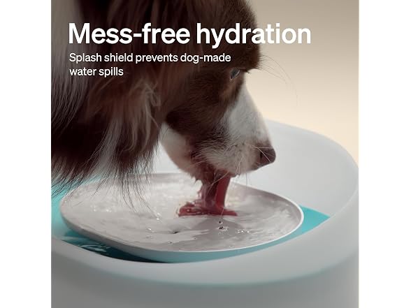 PETLIBRO 2.1Gal/8L Dog Water Fountain for Large Dog
