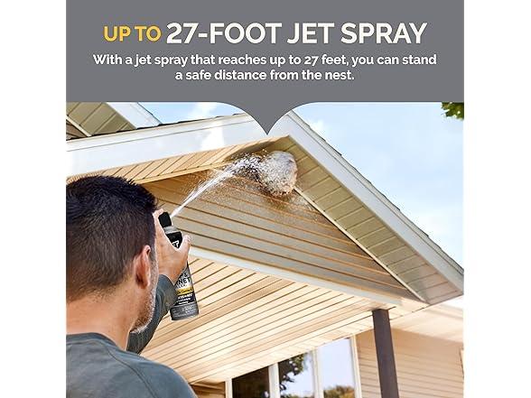 Hot Shot Wasp & Hornet Killer Spray