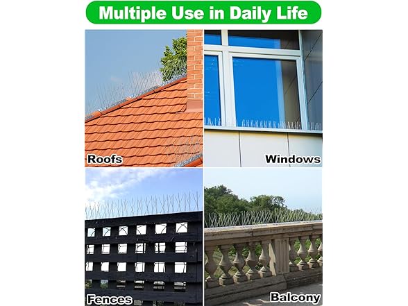 Bird Spikes with Stainless Steel Base