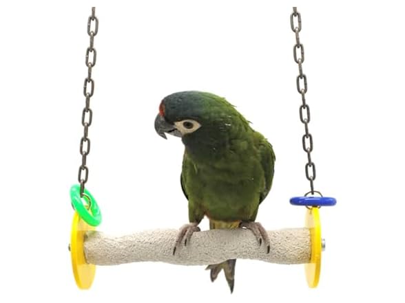 Sweet Feet and Beak Roll Bird Swing - Pumice