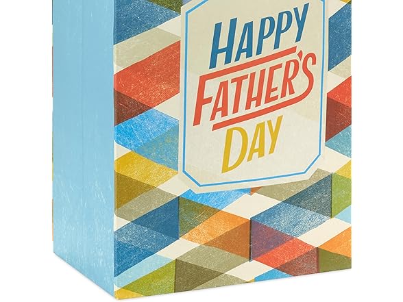 Hallmark 17" Father's Day Gift Bag