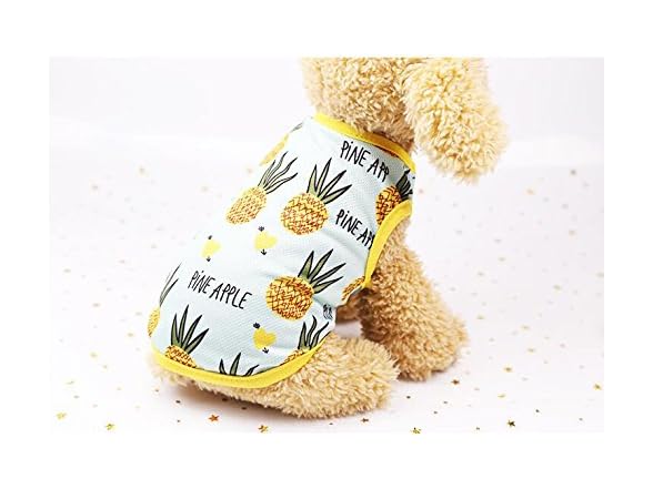 Pet Clothes,Lovely Summer Fruit Dog T-Shirt P