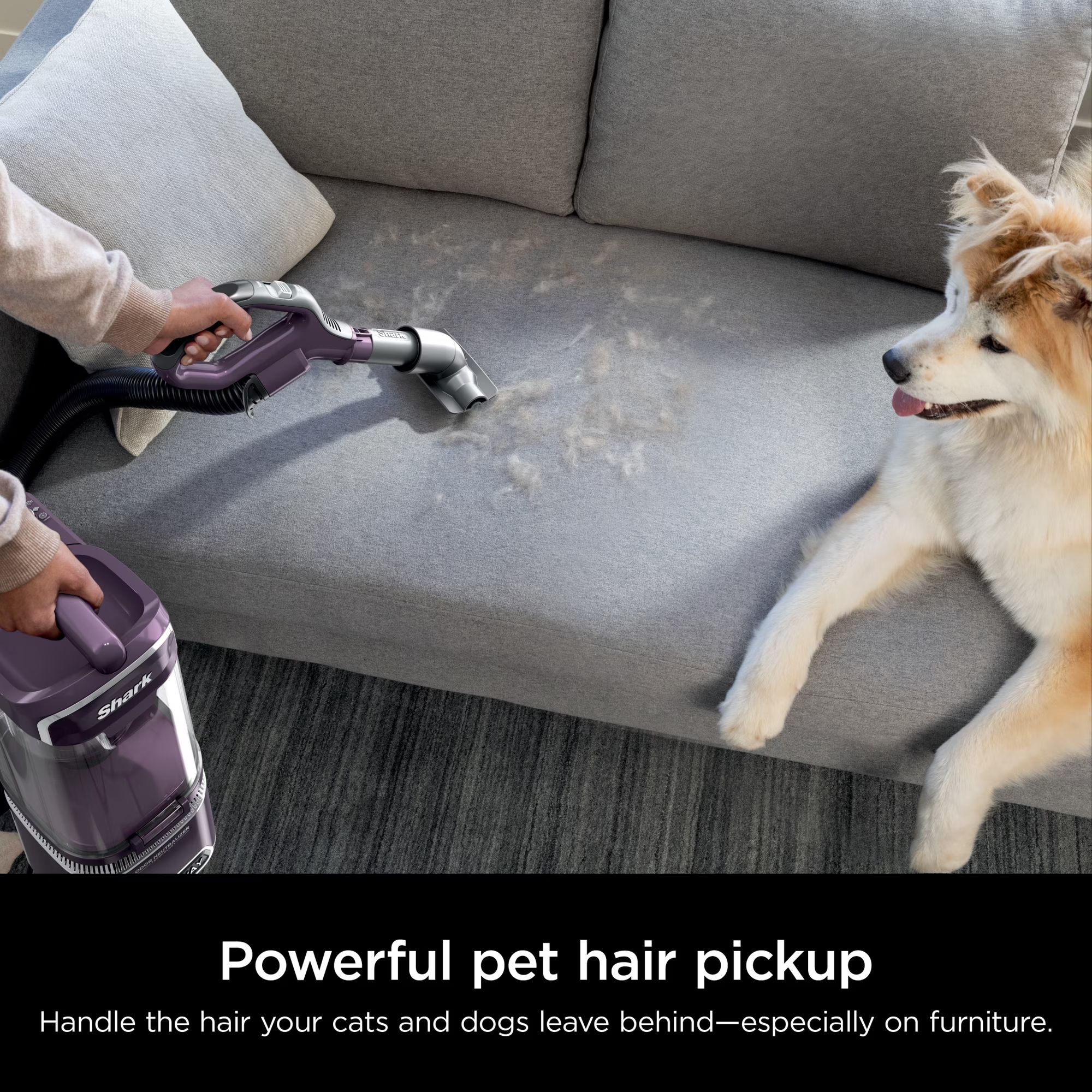 Shark Detect Lift-Away Upright Vacuum - Gallery 19
