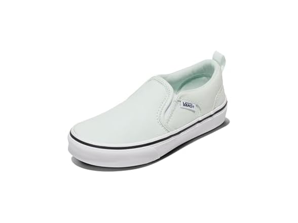 Vans Asher Slip-On Shoe