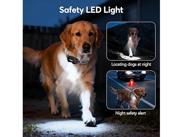 Delupet W0568 Dog Shock Collar 2 Dogs