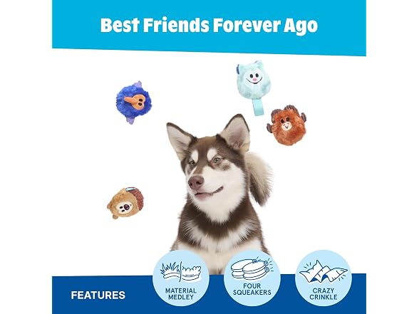 BarkBox Best Friends Forever Ago Dog Toy - 4Pc - Gallery 3