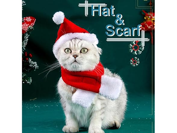 Pets Safari Cat Santa Hat Large